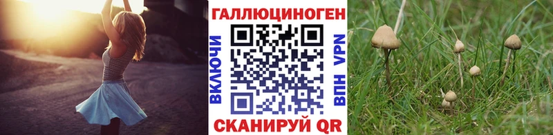 Псилоцибиновые грибы MAGIC MUSHROOMS  Купить где  Никольское 